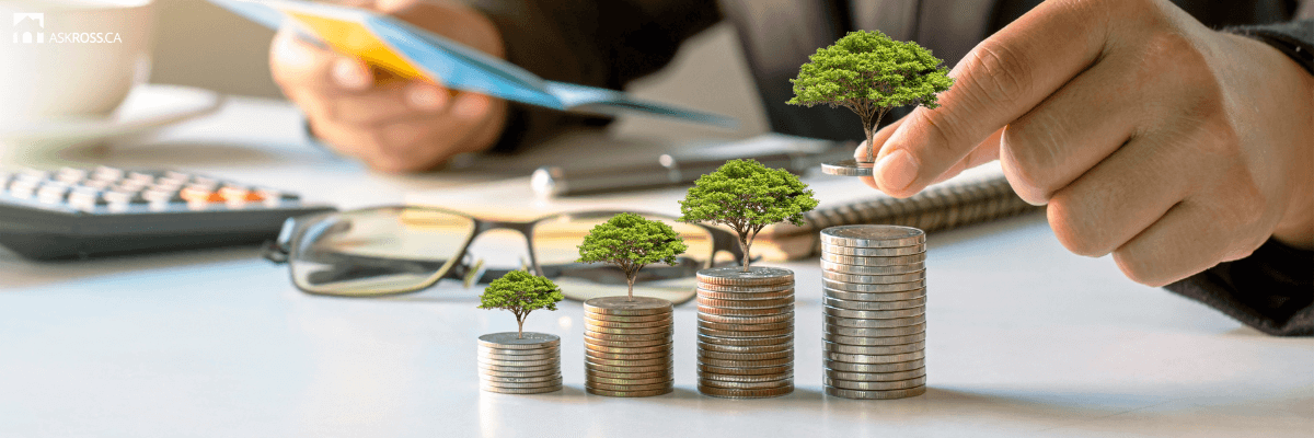 Ross Taylor Mortgages - Leveraging equity for investment growth